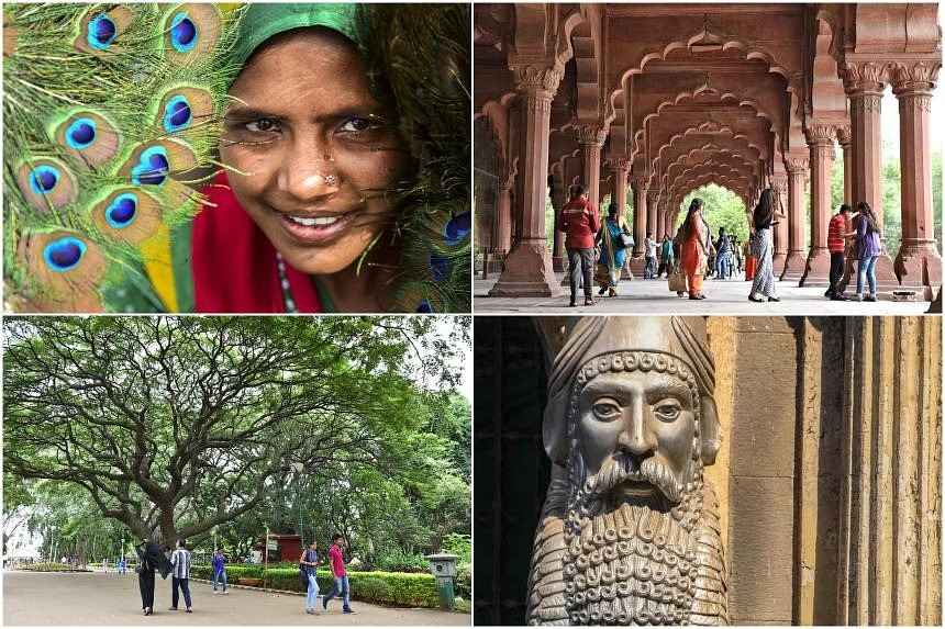 Food apps and legroom for less: 6 tips for savvy travel in India