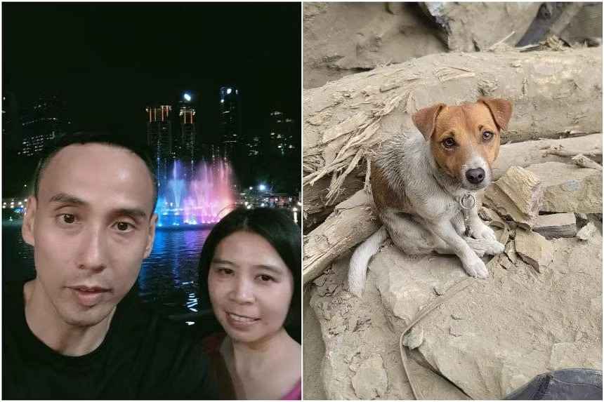 Taiwan quake: Rescue dogs given missing Singapore couple’s clothes to pick up their scent